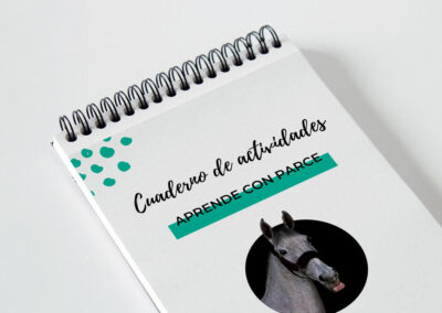 Diseño Gráfico: My Horseback View